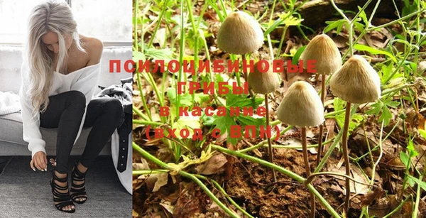 бошки Волоколамск