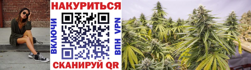 как найти наркотики  Зерноград  Бошки марихуана LSD WEED 